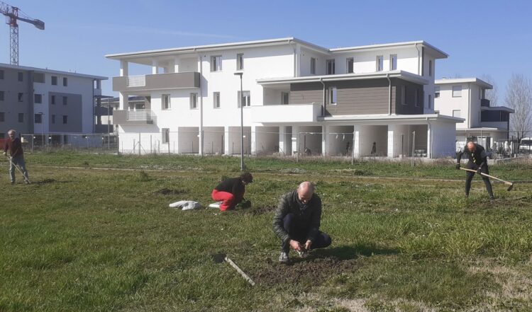 Nonantola Nuove Piante Messe A Dimora Al Parco Del Quartiere San