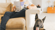 Al museo con il cane? Ora si può, affidandolo a un dog sitter