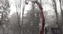 Bomporto, al via la manutenzione del verde in Piazza Matteotti