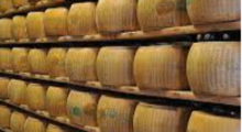 Parmigiano Reggiano: 5 medaglie ai caseifici modenesi ai World Cheese Awards