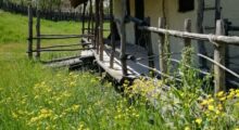 La Terramara riapre con “Questione di pelle”