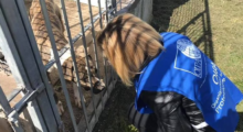 Canile intercomunale Mirandola, Borellini (Lega): “Non garantito il benessere degli animali”