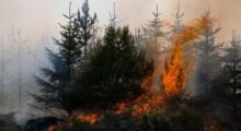 Incendi boschivi, scatta dal 15 giugno al 12 settembre la “fase di attenzione” su tutto il territorio regionale
