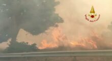 Incendi in Calabria, sul posto anche una squadra dei Vigili del Fuoco di Modena