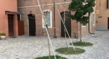 Soliera e Nonantola: verde pubblico secco o poco curato, le proteste dei cittadini