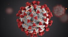 Aggiornamento Coronavirus 6/7: nel modenese 1.181 contagi. In Emilia-Romagna 9.016 positivi e 10 decessi