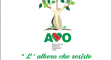 XIII Giornata Nazionale dell’Associazione Volontari Ospedalieri
