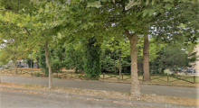 Cavezzo, potatura e abbattimento degli alberi ammalorati