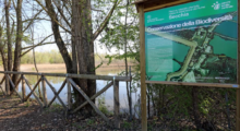 Emilia-Romagna, rafforzata la tutela delle “Casse di espansione del fiume Secchia”