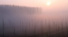 Seconda edizione del concorso fotografico dedicato al “lato buono della nebbia”