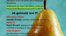 “Alla ricerca della pera perduta”: a Finale Emilia webinar con esperti e associazioni di categoria