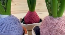 Lana e bulbi di giacinto per San Valentino: il nuovo progetto della sartoria “Manigolde” di Finale Emilia