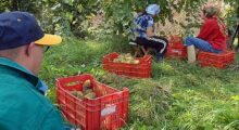 Aimag e altre realtà del territorio insieme per aiutare il centro “La lucciola” di Ravarino