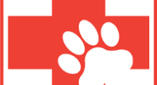 Soccorso degli animali in caso di emergenza: il webinar per operatori e volontari