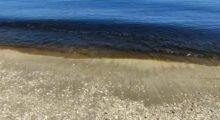 Colorazione anomala delle acque della costa romagnola. Arpae: “Microalga innocua”