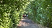 Finale Emilia, ciclabile ex Sefta: giovedì 8 verrà eseguito lo sfalcio
