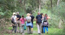 Bomporto, “Natura in sella” alla scoperta di parchi e aree verdi