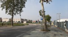 Mirandola, dal 3 novembre modifiche agli orari dei bus 401 e 491