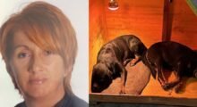 La tragica morte di Iolanda Besutti, ora si indaga sulle passate aggressioni dei suoi cani rottweiler