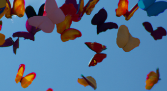 Centinaia di farfalle saranno liberate nel parco della Cappuccina
