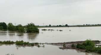 Scuole e ponti chiusi, un altro giorno di allerta rossa nella Bassa modenese per le piene dei fiumi