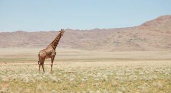 Coinbase all’assalto dell’Africa