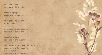 Un raggio di sole tra la cronaca, per te le poesie di Luigi Golinelli – 2