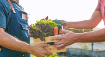 Agricoltura, Gruppo Davines proroga candidature ‘The Good Farmer Award 2024’