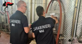 Vino Dop senza documentazione, multa a cantina vitivinicola della Bassa Modenese