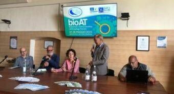 Animali: Fondazione UNA-Federparchi, torna il Barbagianni a Pianosa
