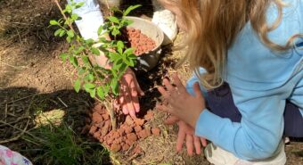“Mettiamo radici per il futuro”, alle scuole Adani di Mirandola i bimbi piantano nuovi alberi